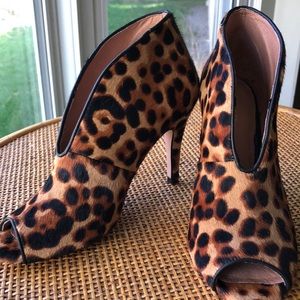 Cheers Bootie “Rowen”